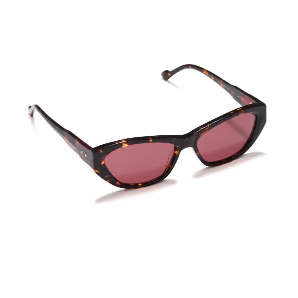 SUN055_C2_2