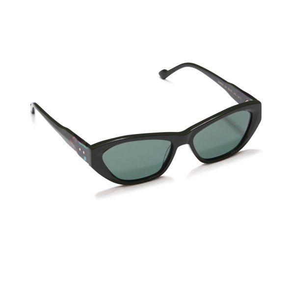 SUN055_C4_2